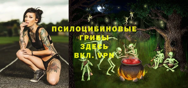 a pvp Алексин