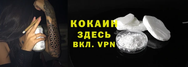 СК Алзамай