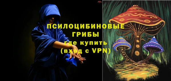 ПСИЛОЦИБИНОВЫЕ ГРИБЫ Алексеевка