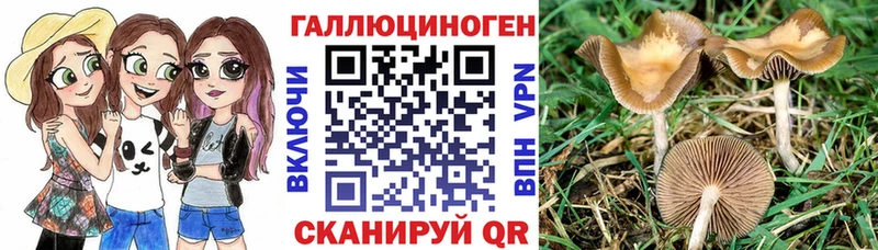Псилоцибиновые грибы Cubensis  mega онион  Омутнинск 